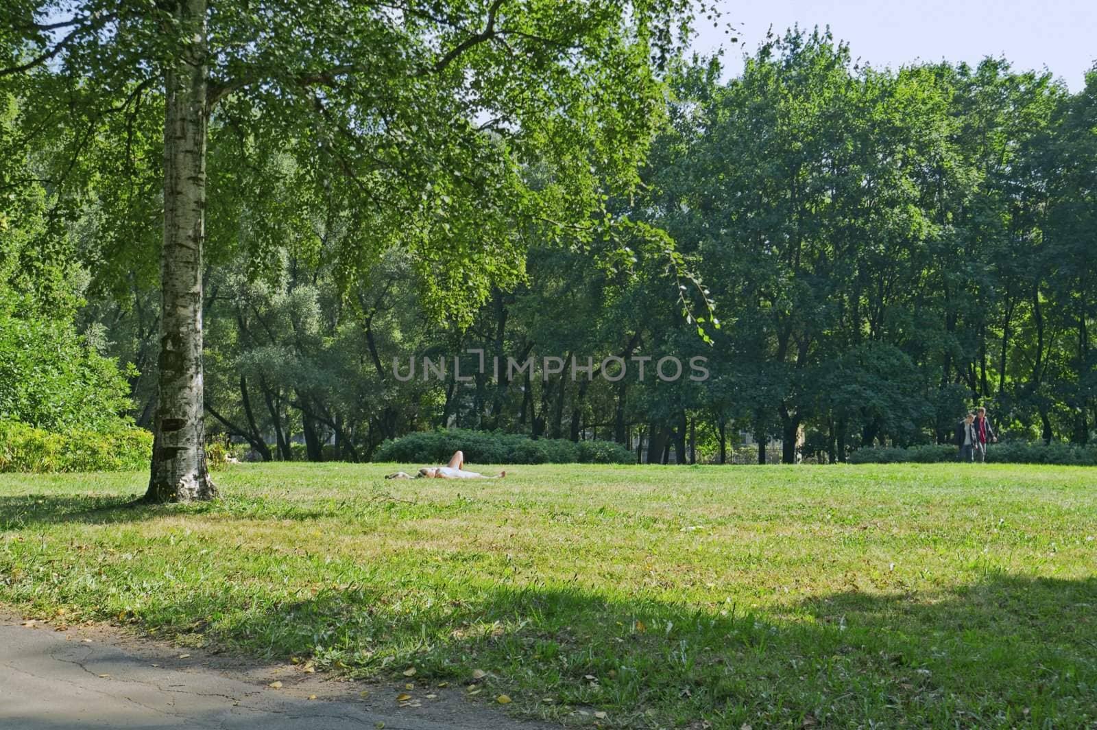 City park in summer by simfan