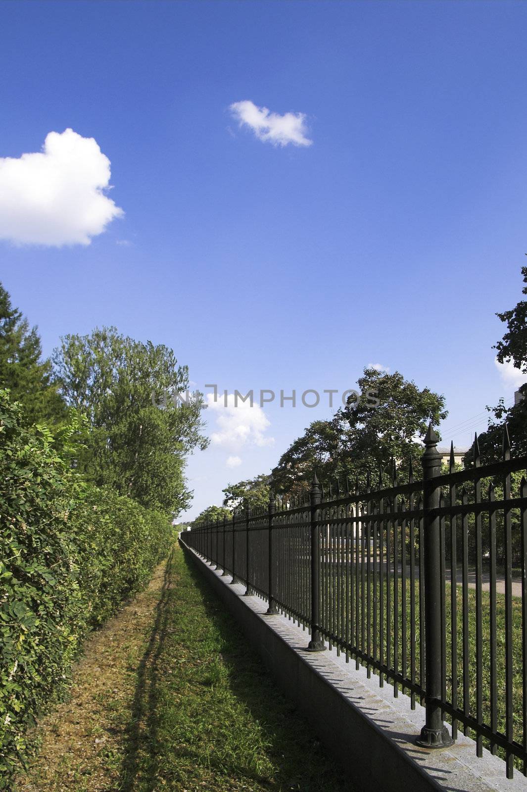 Iron Fence in Summer Park