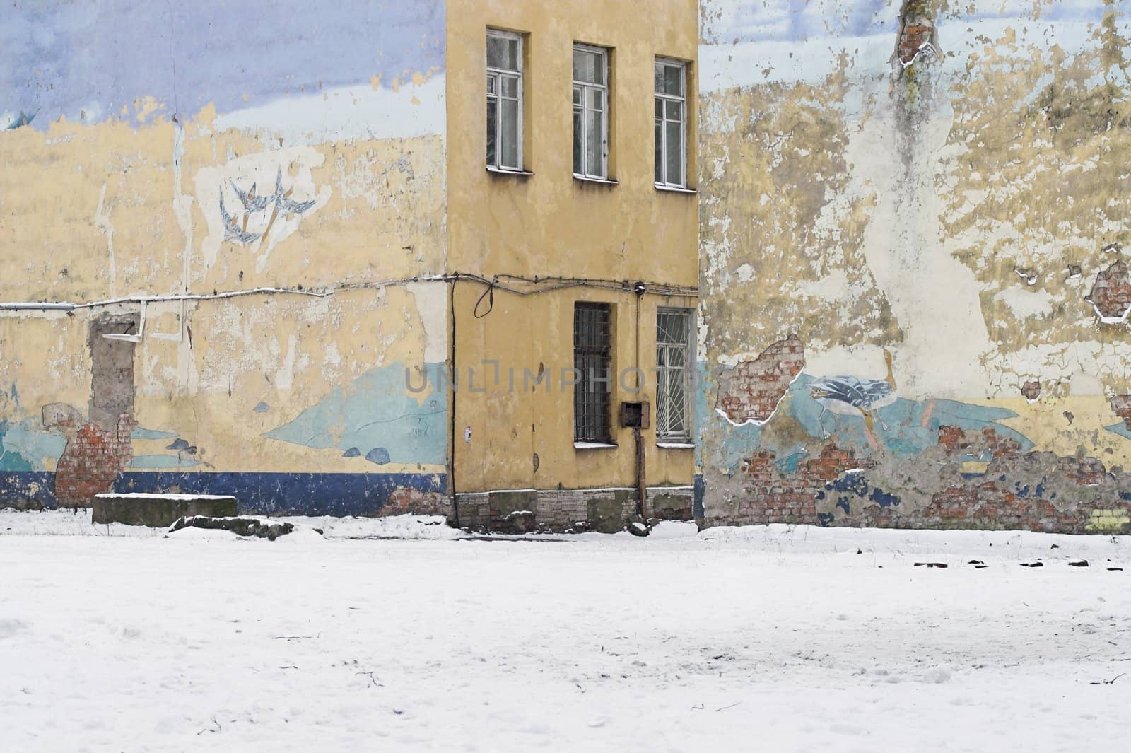 End Side Walls of Old Buildings and a Graffiti picturing flying birds.