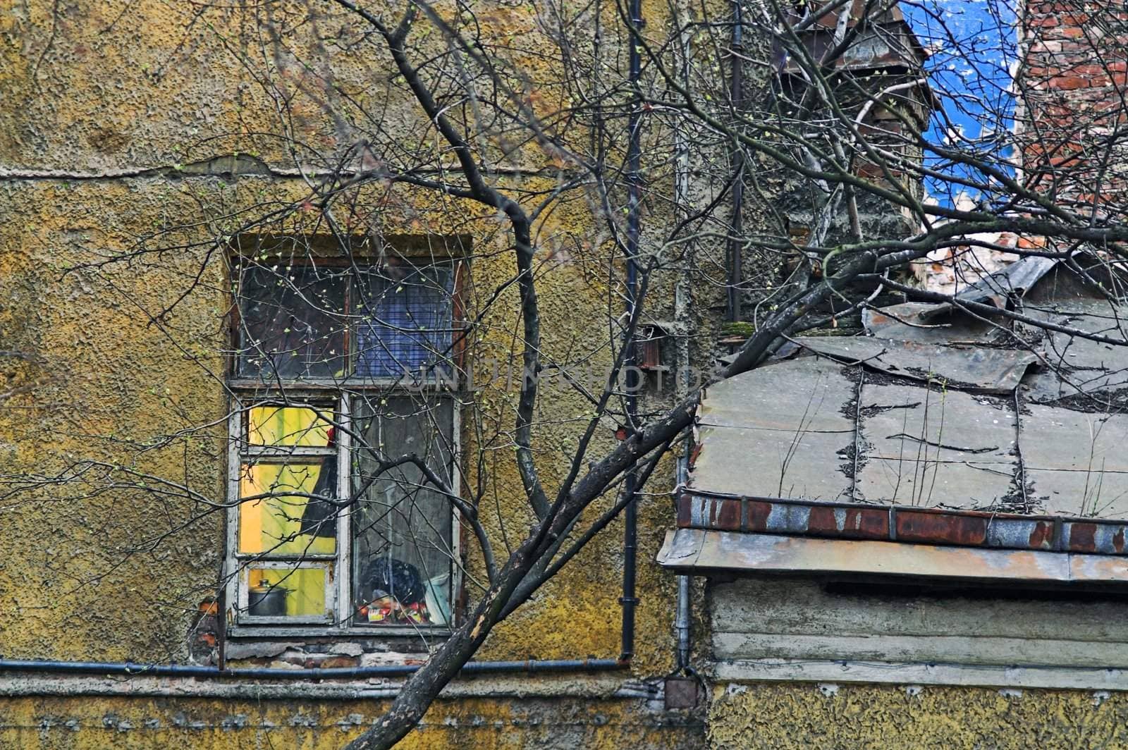 Windows of an old and destructed apartment building at evening