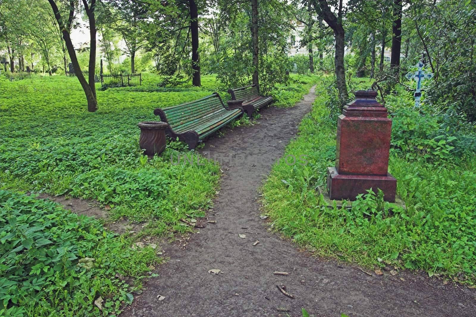 Old Deserted Cemetery in Saint Petersburg, Russia