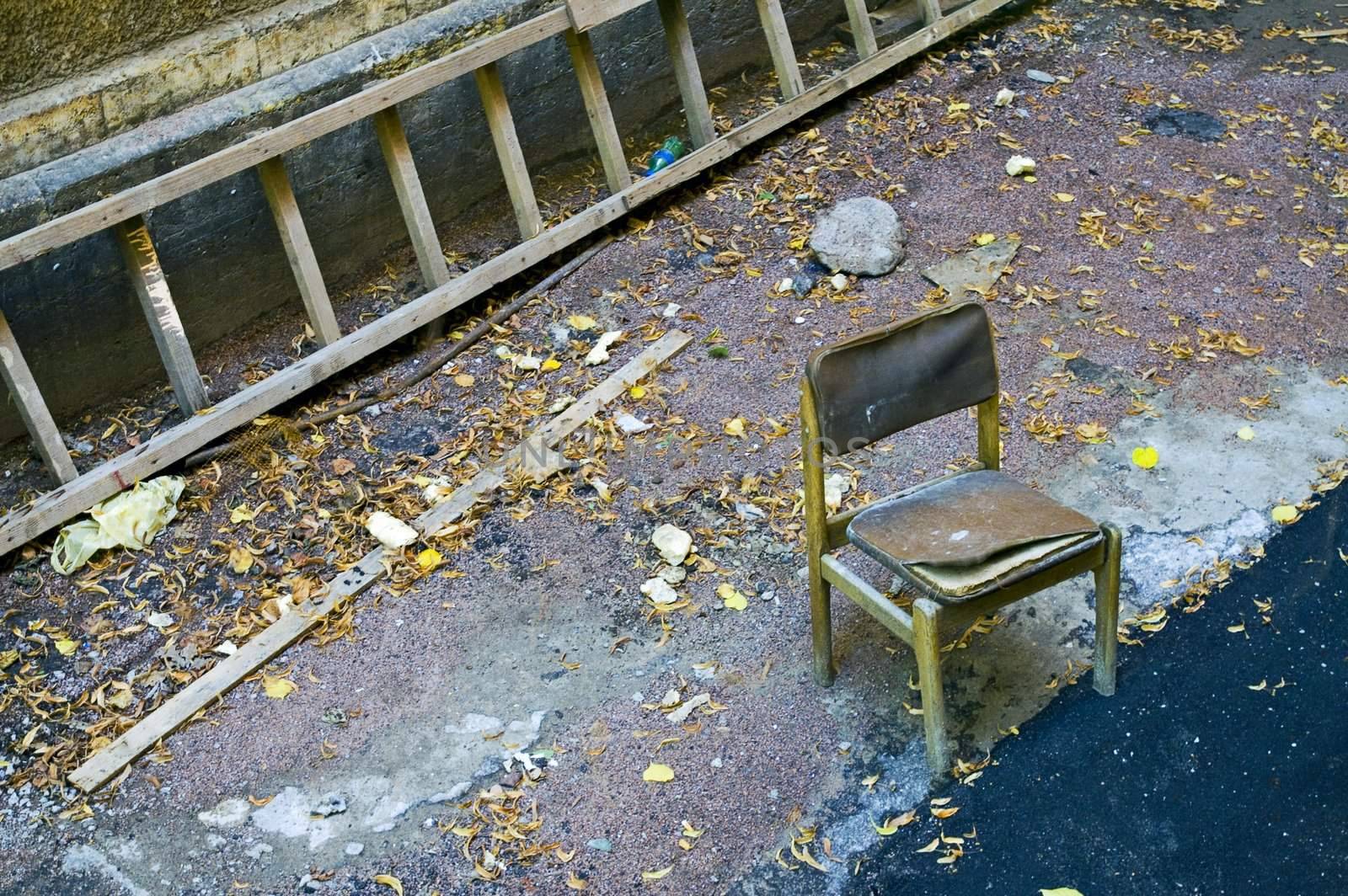 Old chair and ladder in back yard