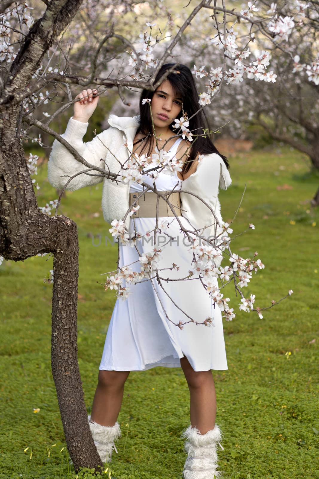 View of a beautiful girl on a white dress on a green grass field next to a almond tree