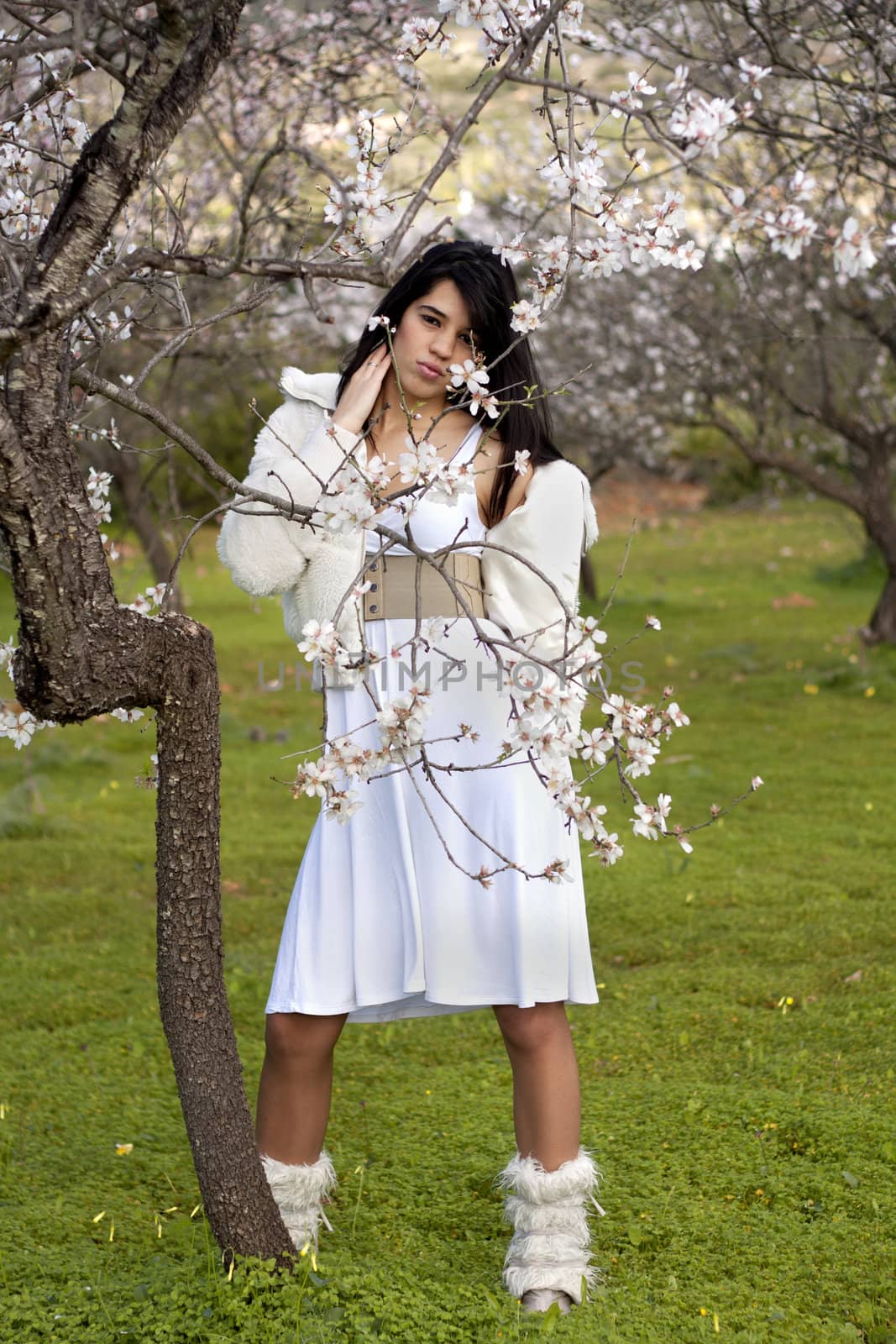 View of a beautiful girl on a white dress on a green grass field next to a almond tree