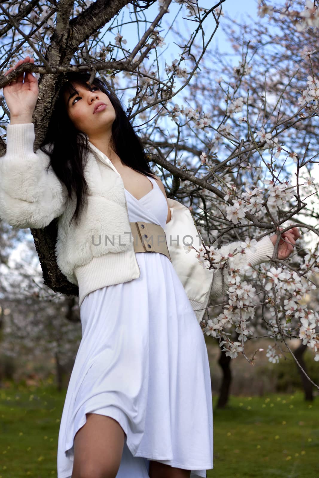 View of a beautiful girl on a white dress on a green grass field next to a almond tree