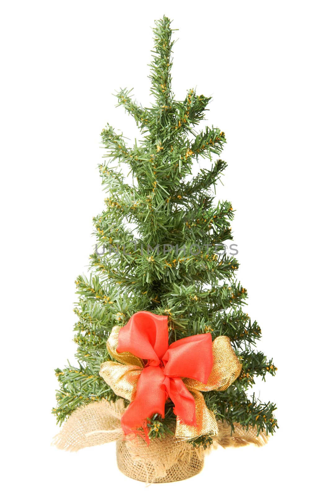 Christmas tree isolated on white background