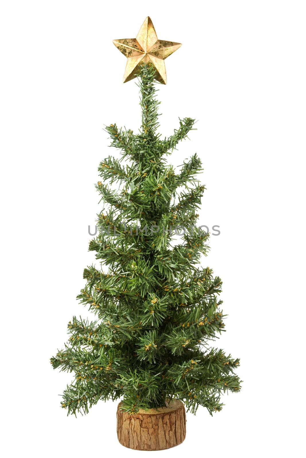 Christmas tree with star isolated on white background