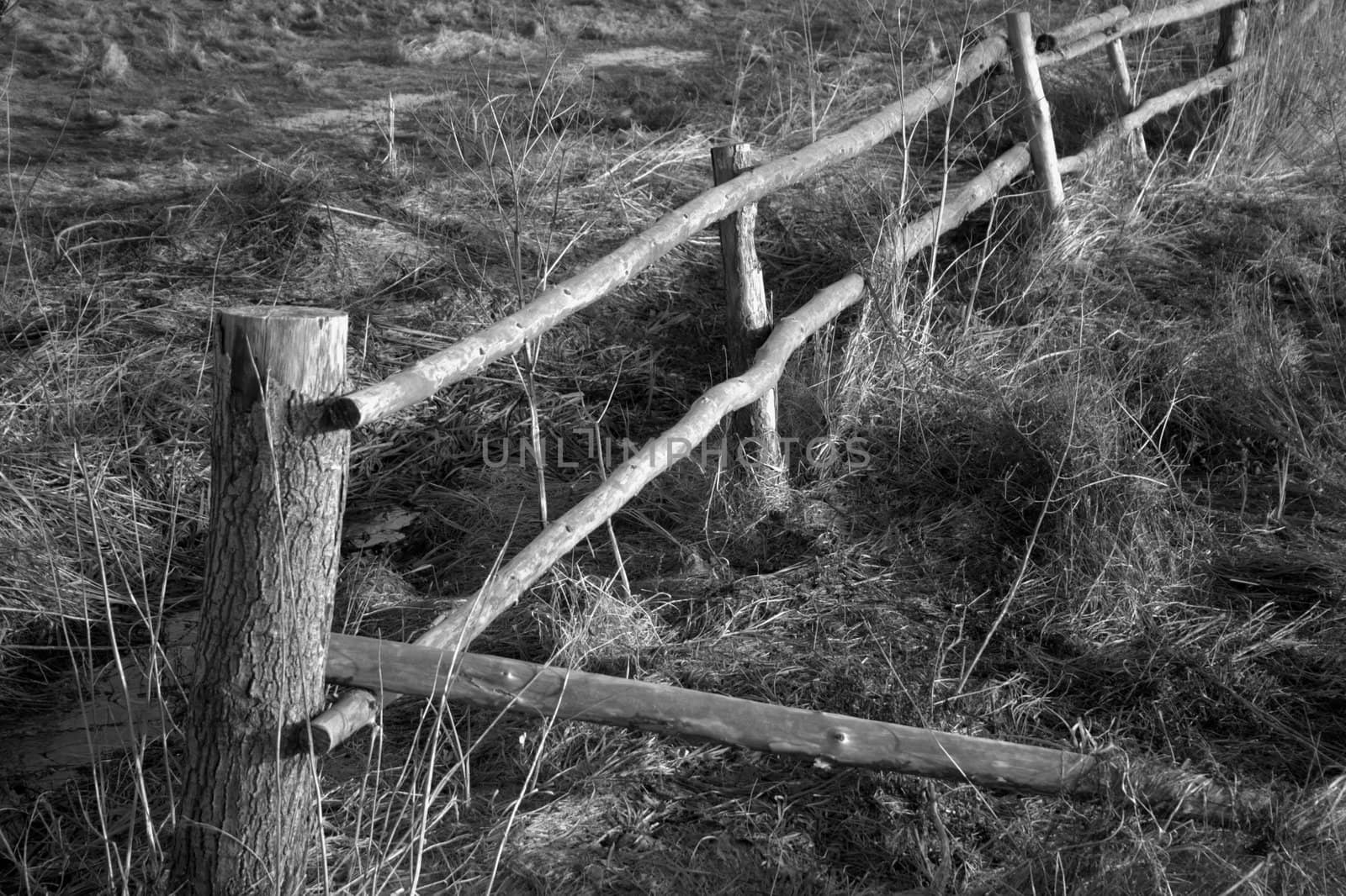 fence by noah1974