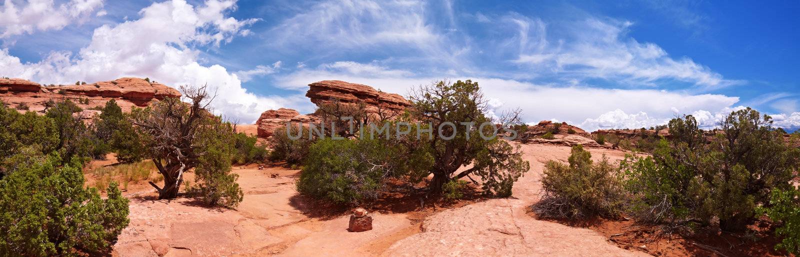 Desert panorama by LoonChild