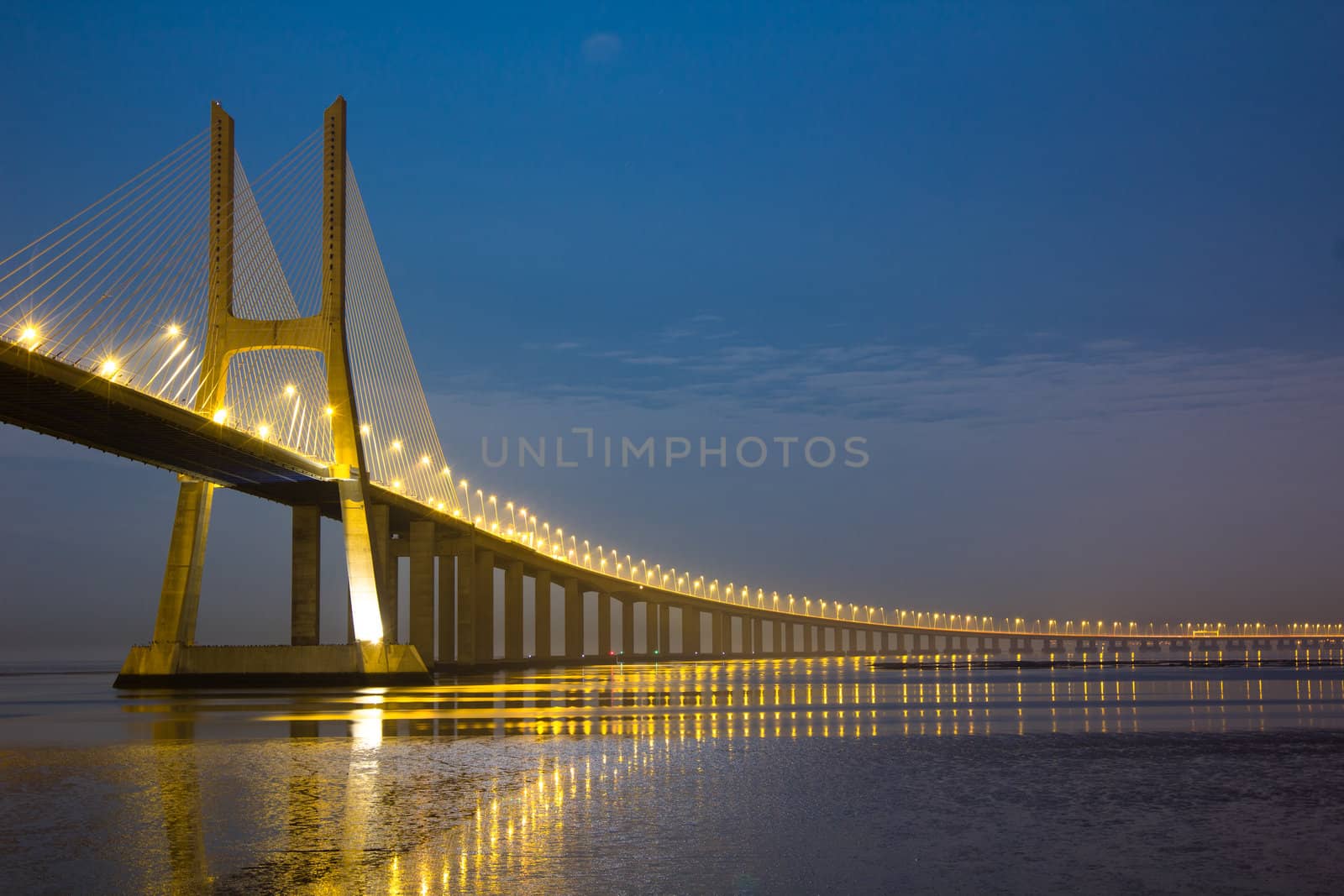 Long Vasco da Gama bridge at night under moonlight