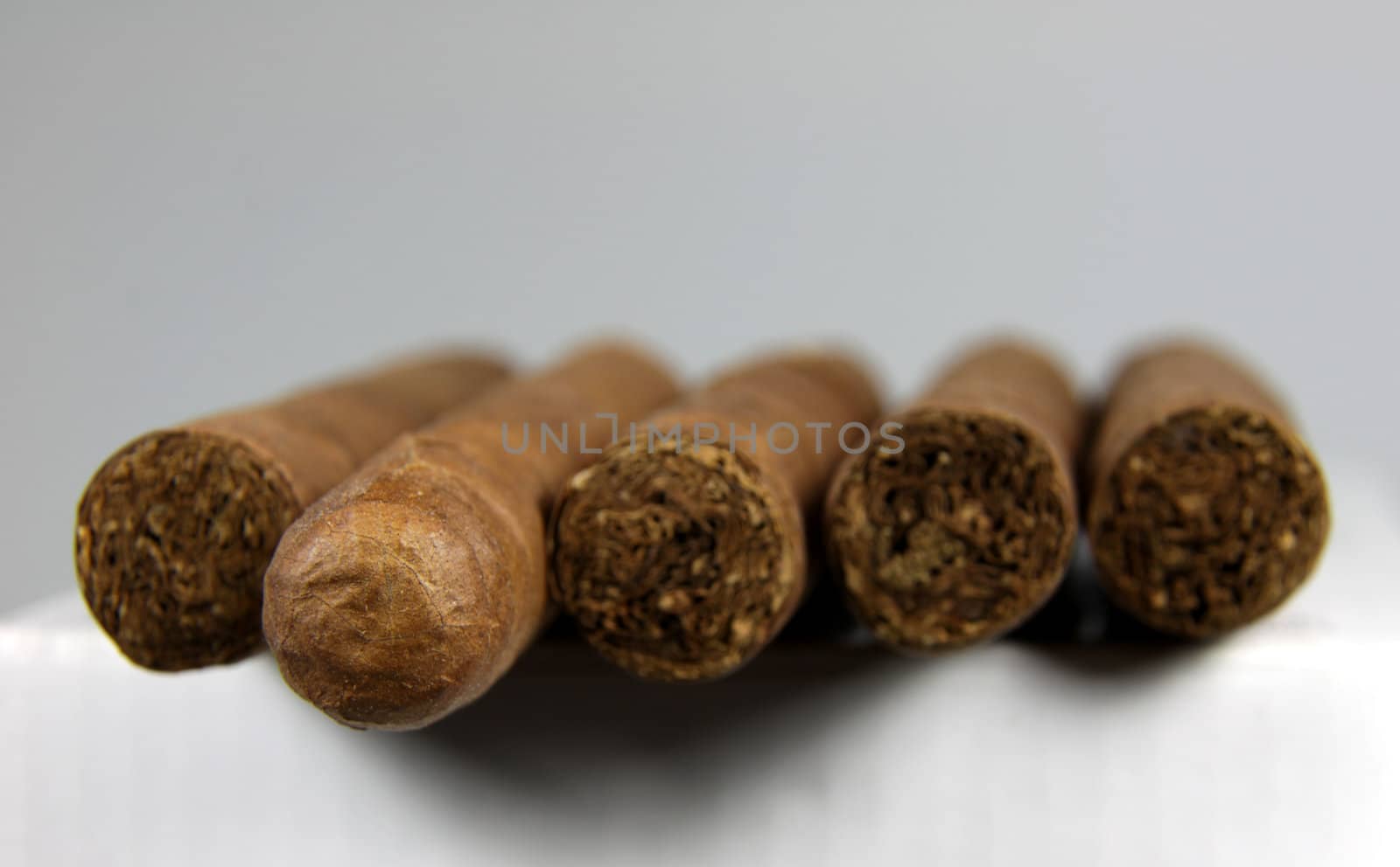 Row of Cigars
 by ca2hill