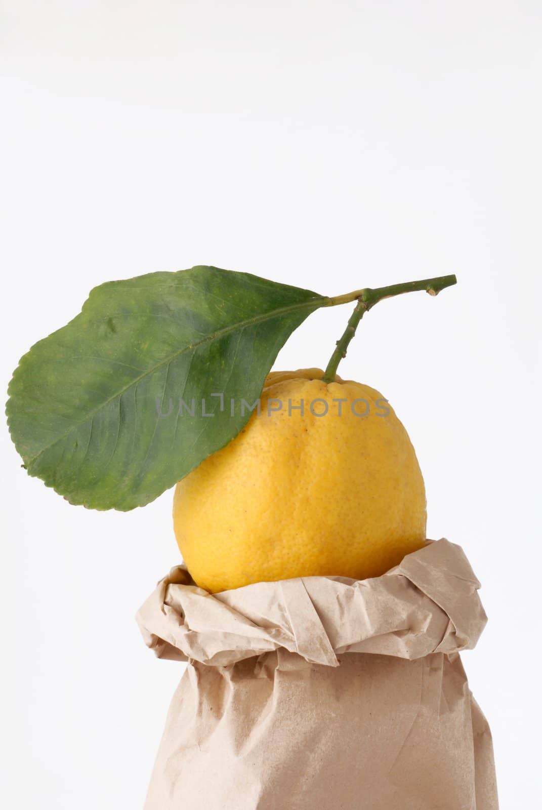 lemon by africa