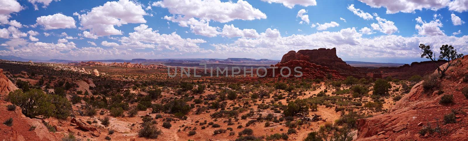 Desert panorama, Arches National Park, Utah, USA