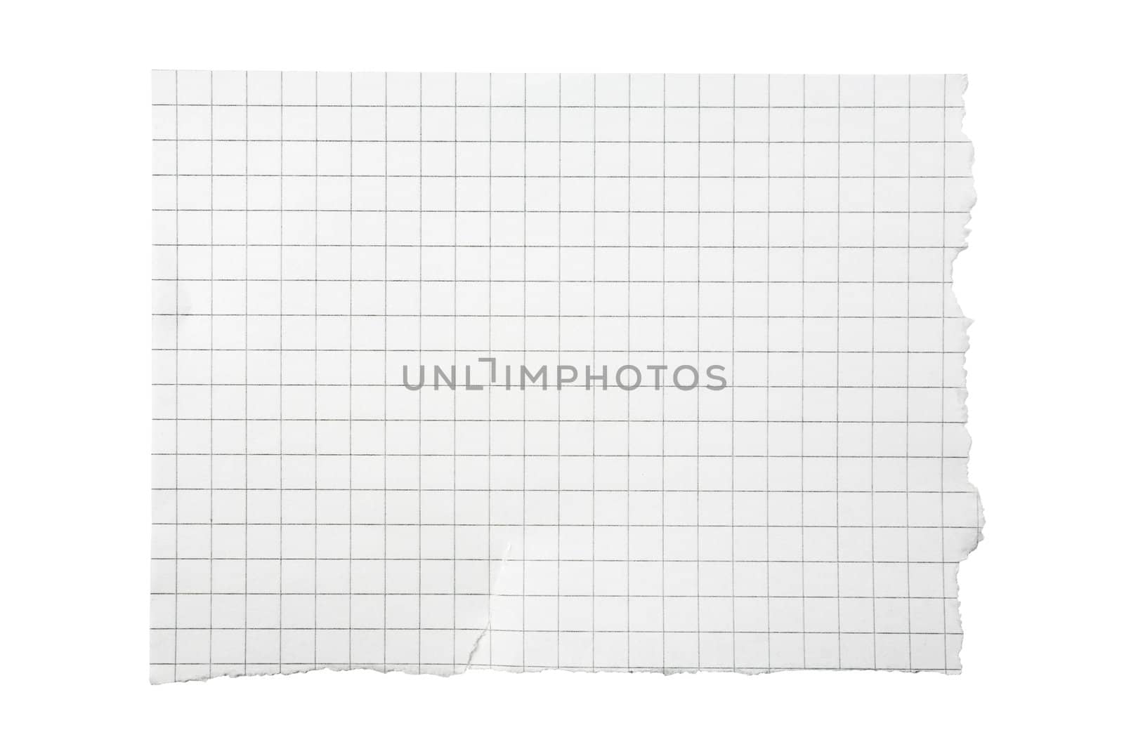 Torn Piece of Squared Paper by Luminis