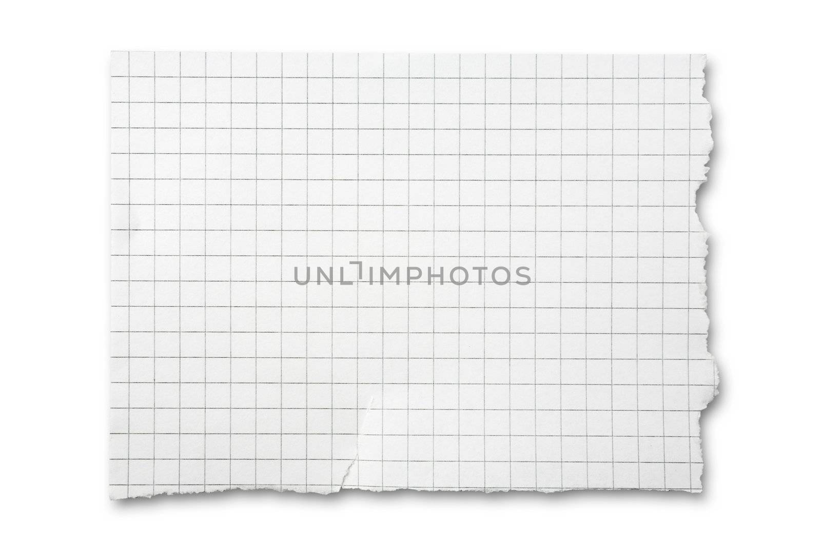 Torn Piece of Squared Paper by Luminis