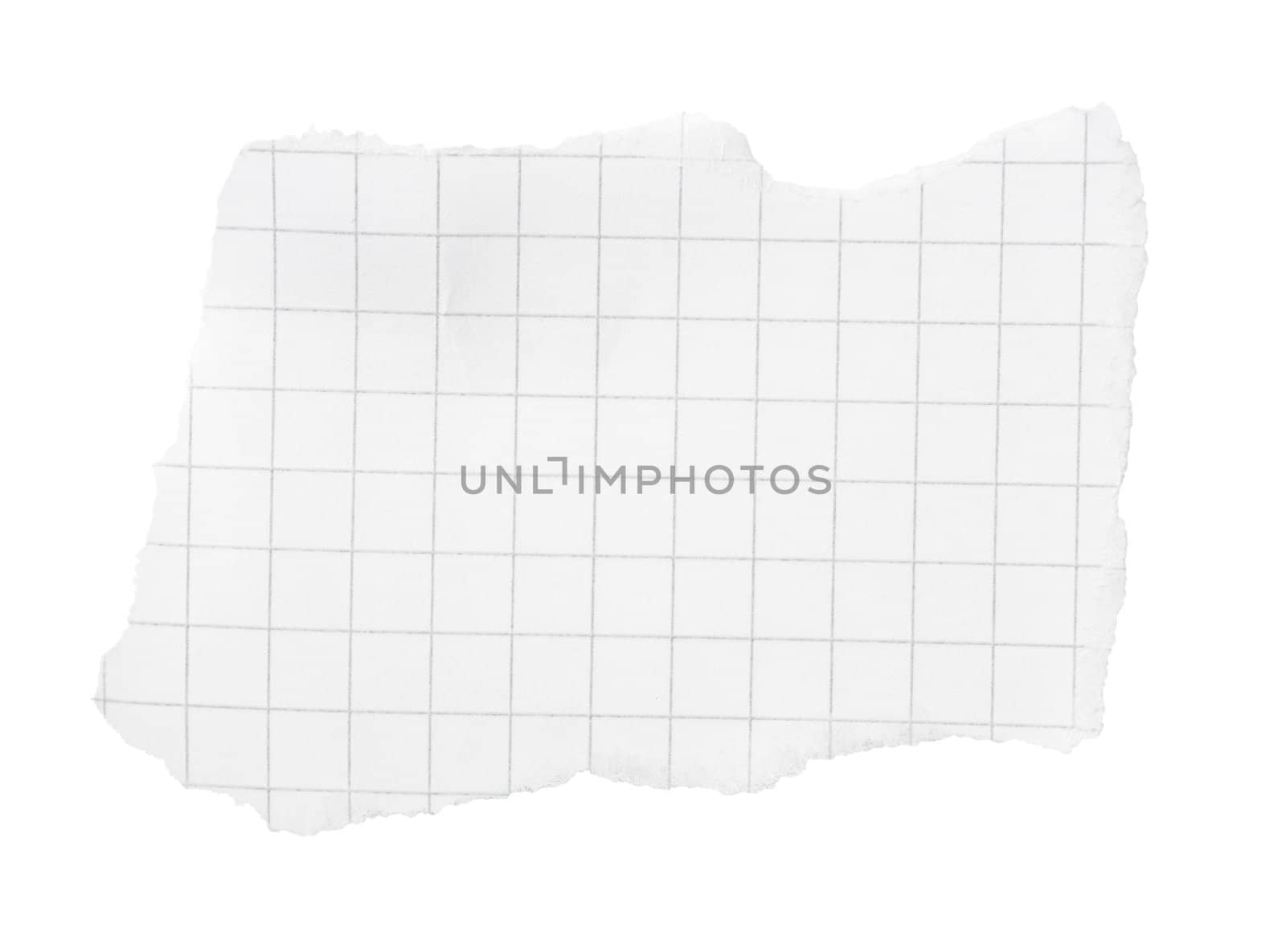 Torn piece of squared paper isolated on white background with clipping path