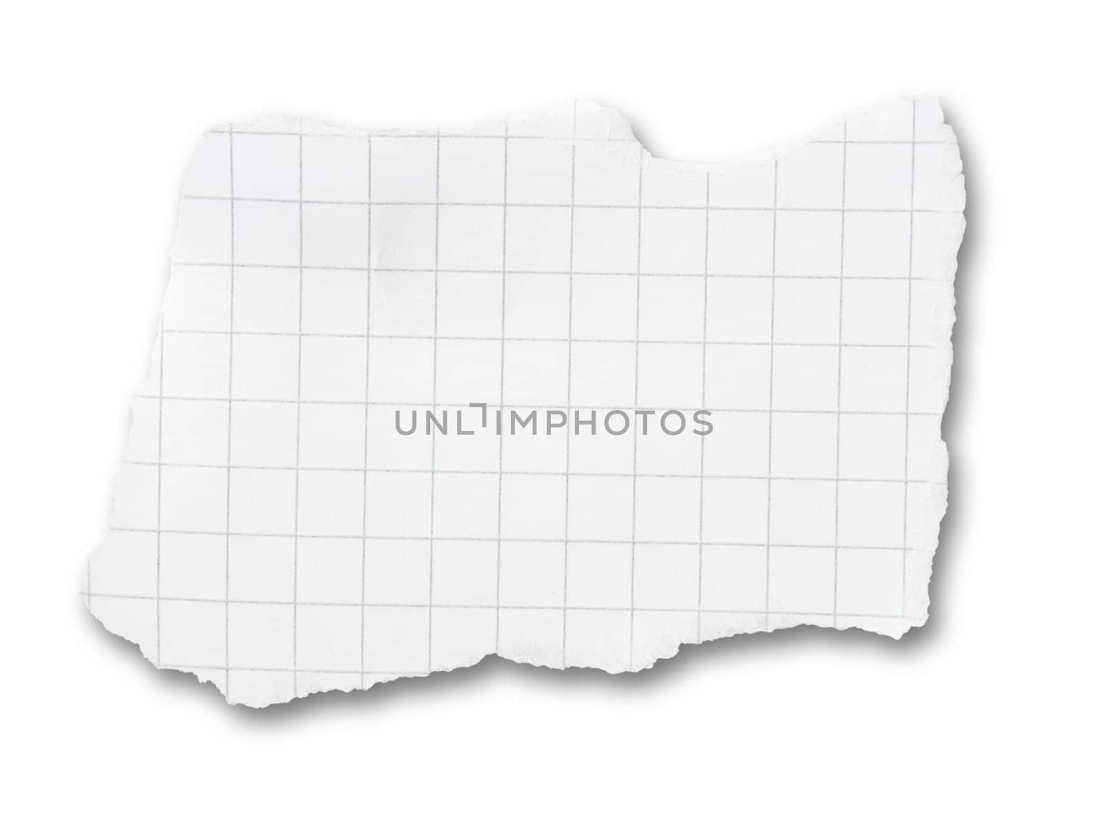 Torn piece of squared paper isolated on white background with 
shadow