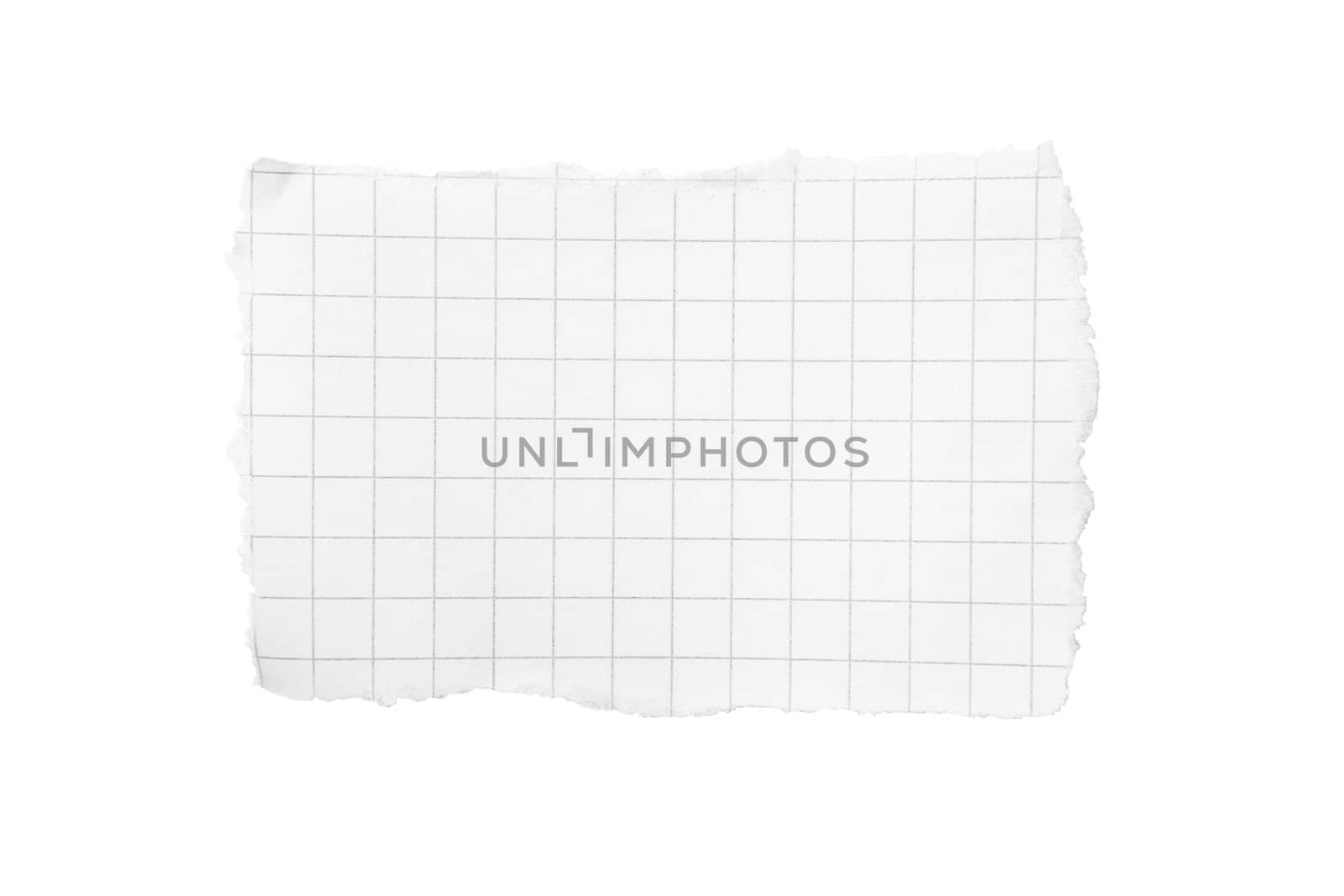 Torn piece of squared paper isolated on white background with clipping path