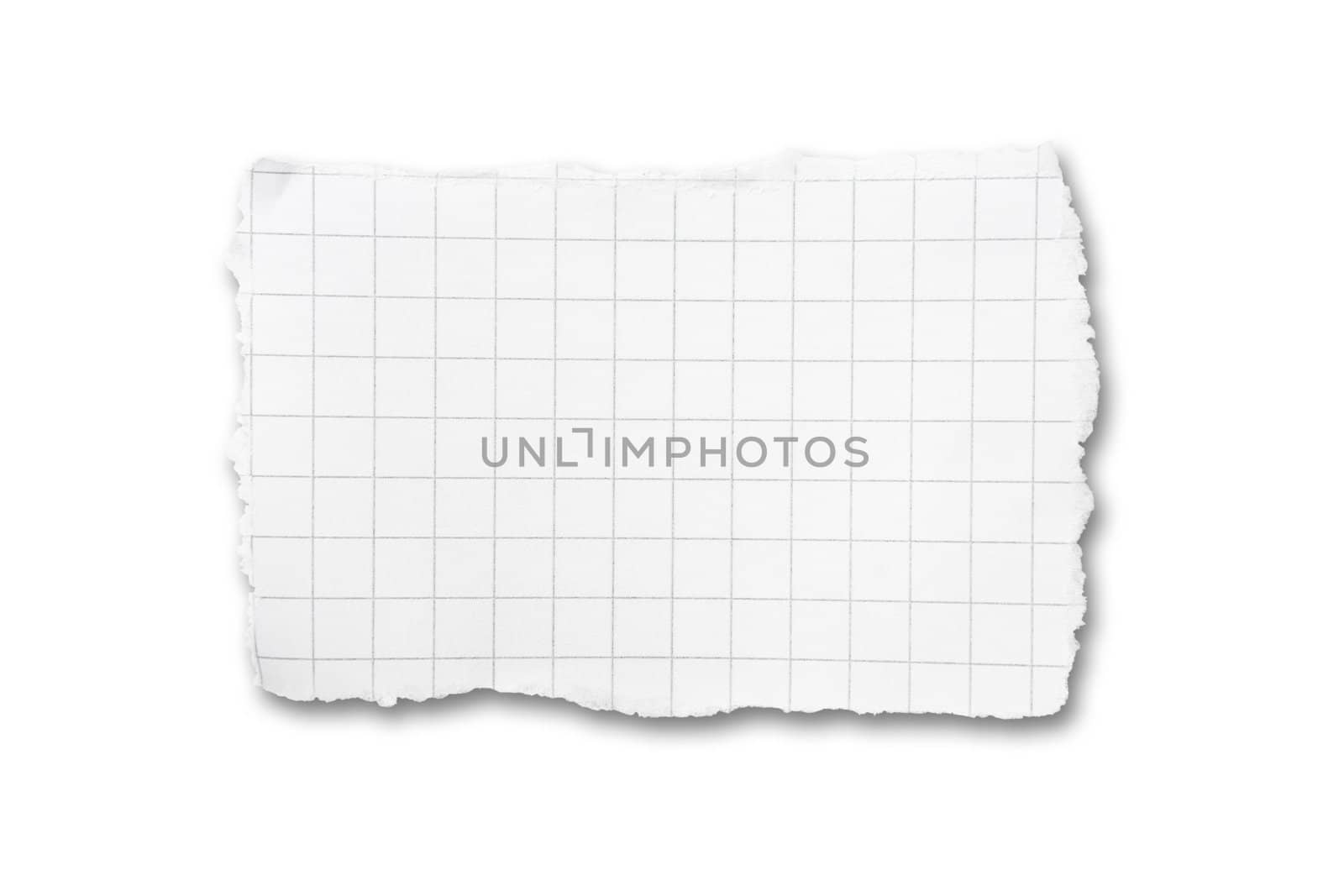 Torn piece of squared paper isolated on white background with 
shadow