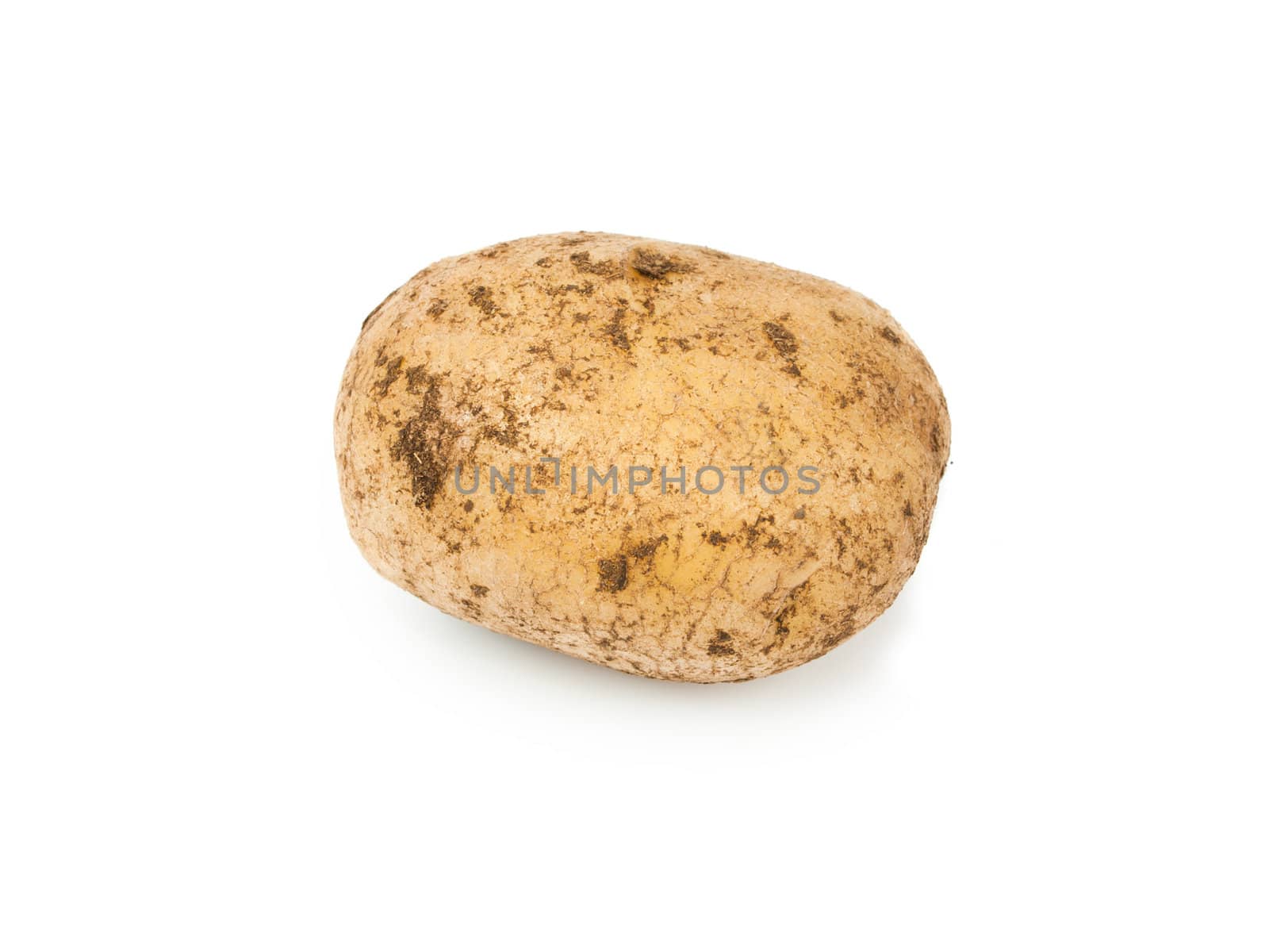 Potato isolated on white background