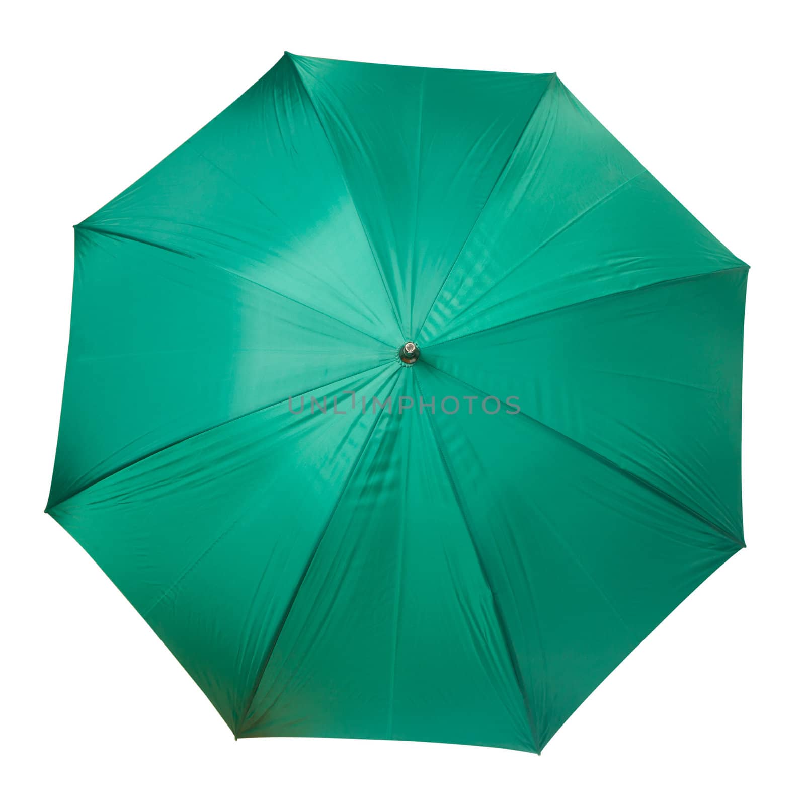 Large green umbrella isolated on white background