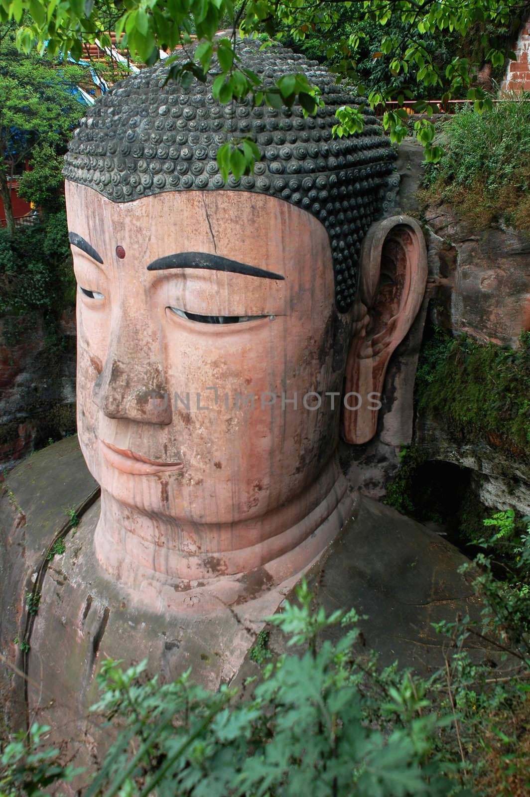 Portrait of a giant buddha head in Sichuan,China