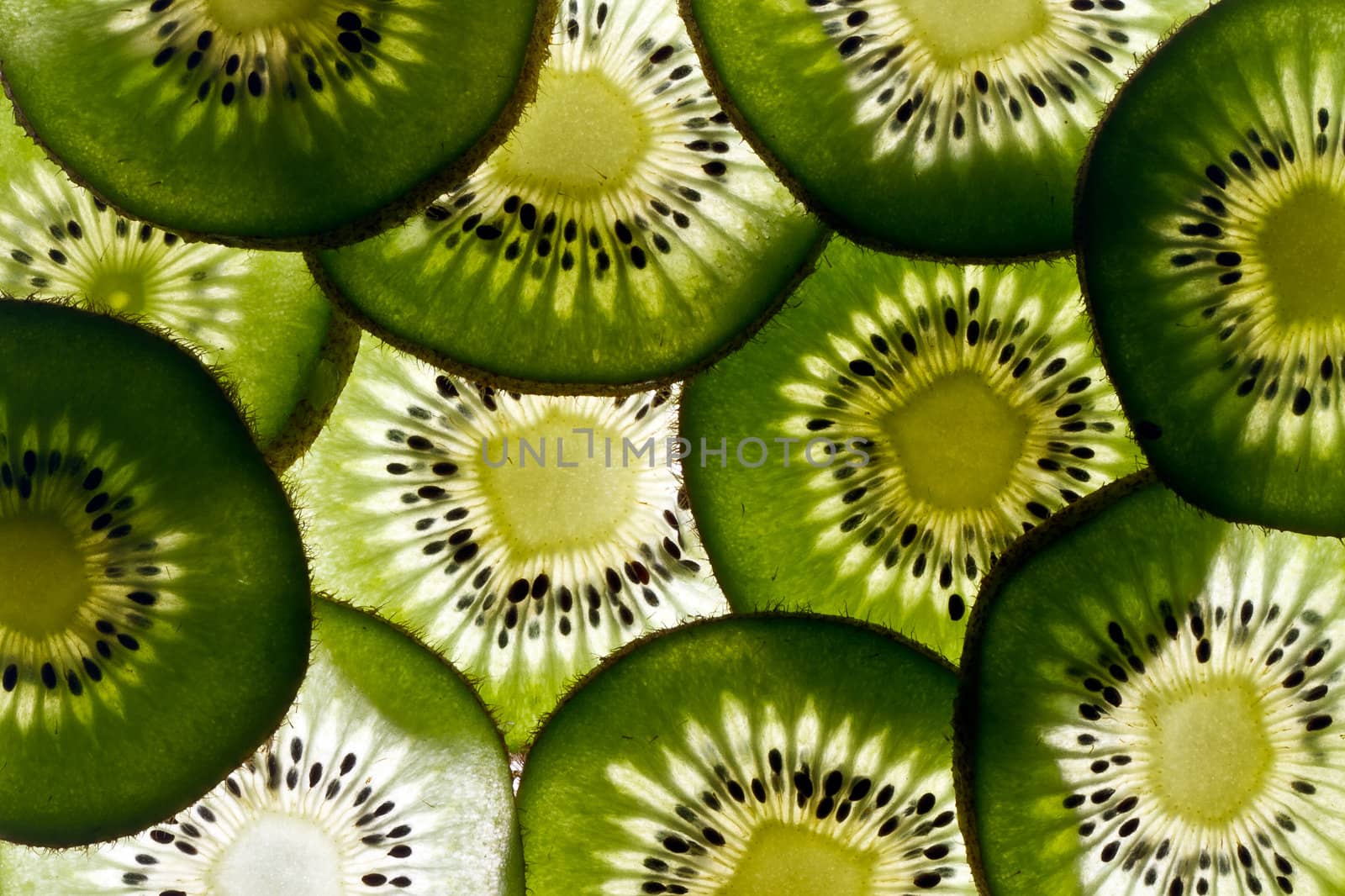 Many slices of fresh green kiwi fruit