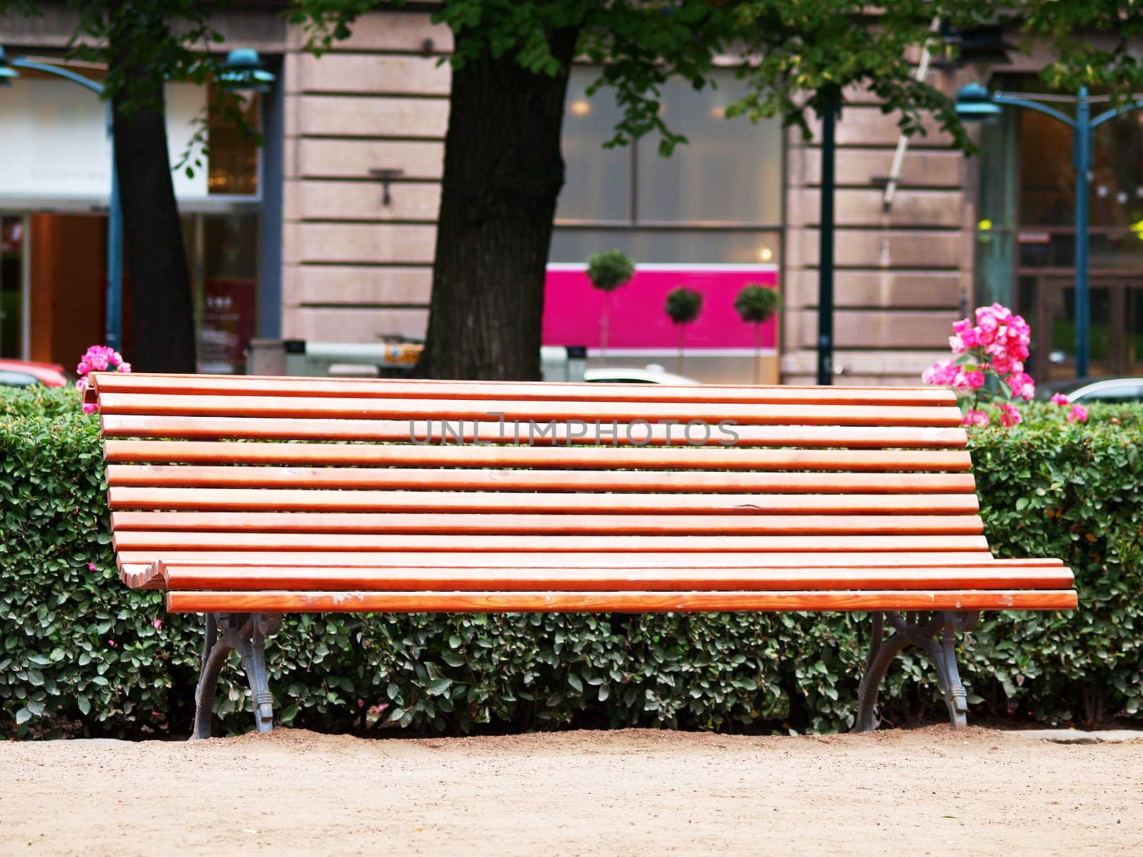 Wooden bench, left empty in the park