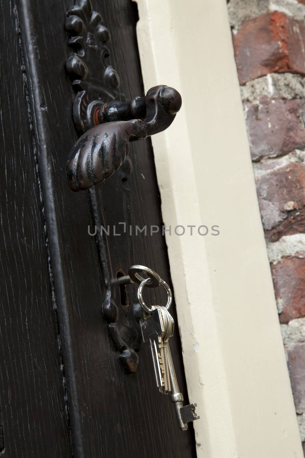 Antique Door Handle by charlotteLake