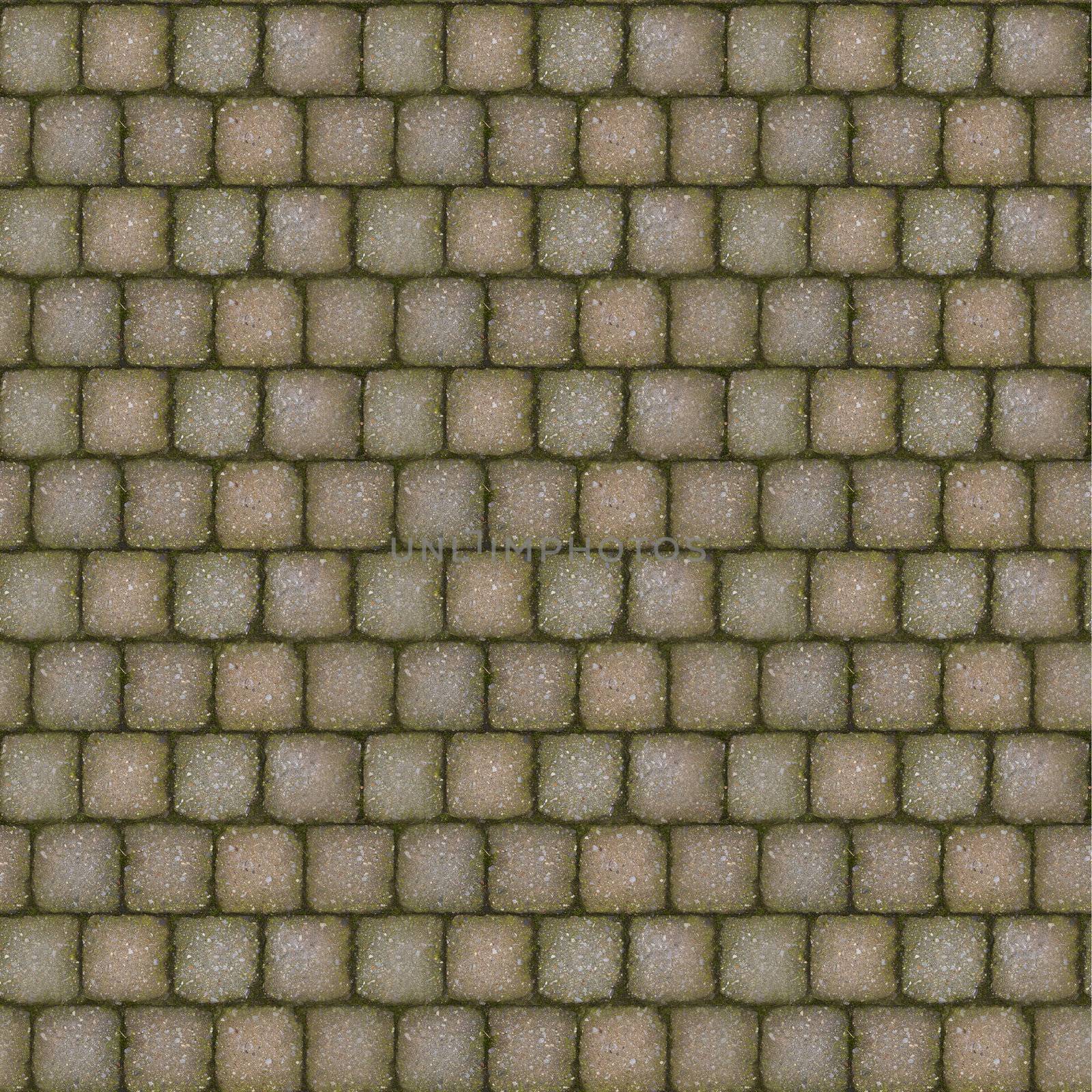 Tiling stone sidewalk texture with moss growing between bricks.