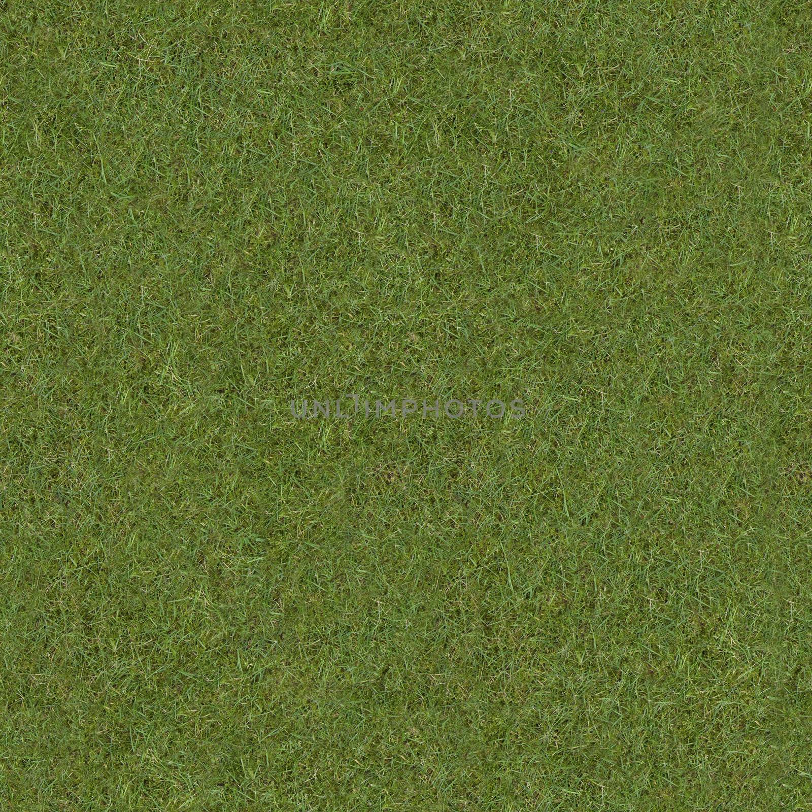 Square grass texture, can be tiled.