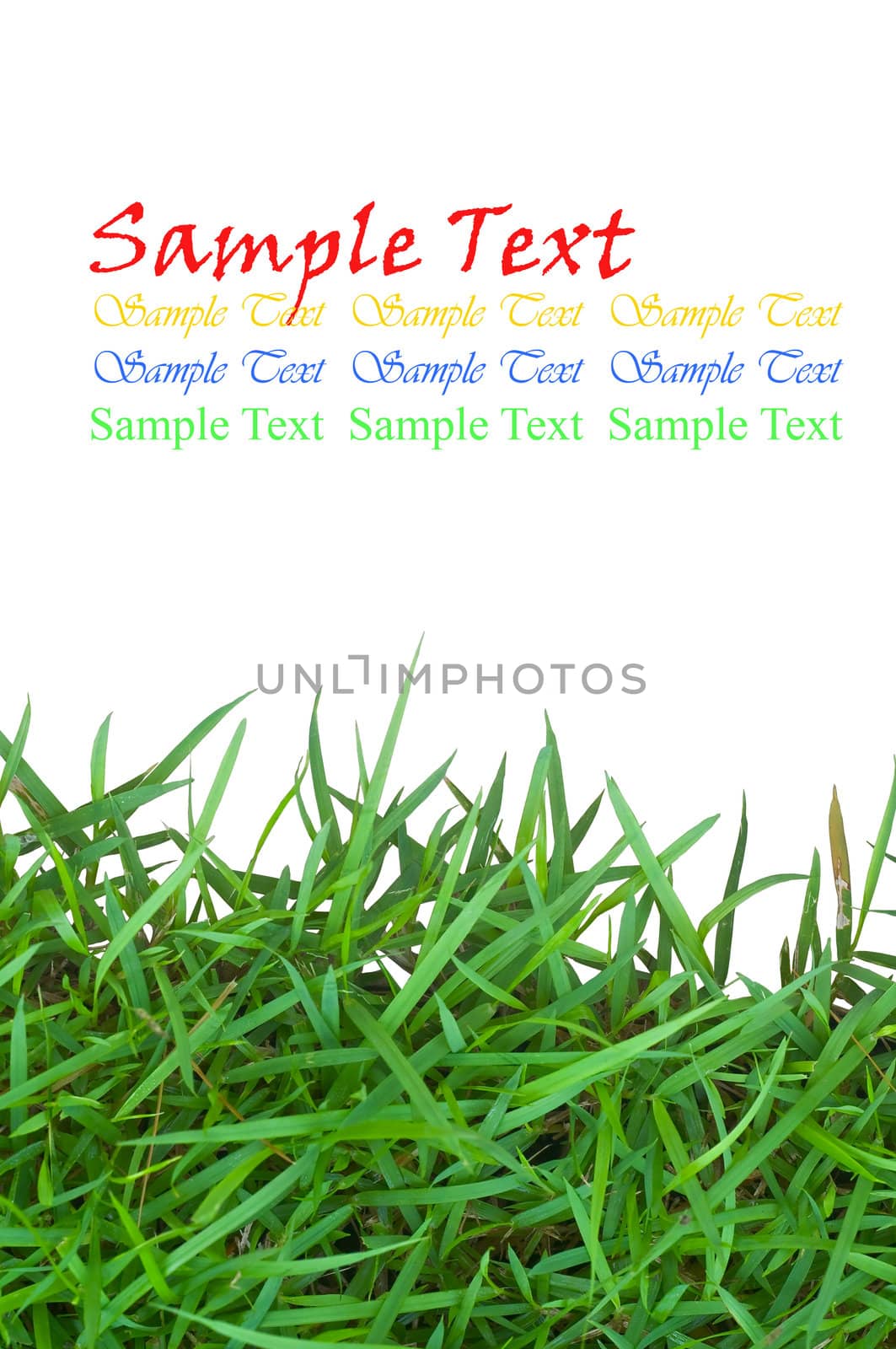 isolated green grass on white background by hinnamsaisuy