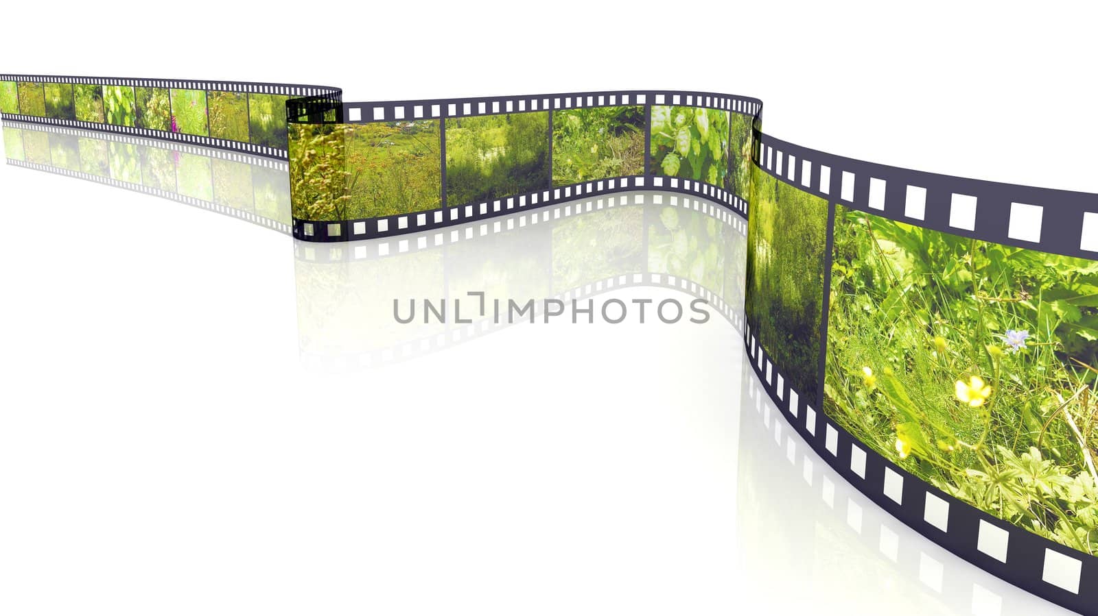 3d blank film on white backgroung filled by pictures of nature