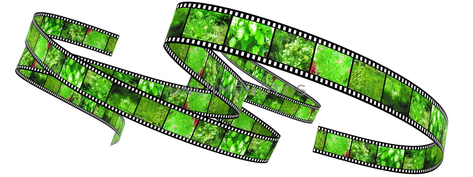 Segment color film rolled up filled by pictures of nature