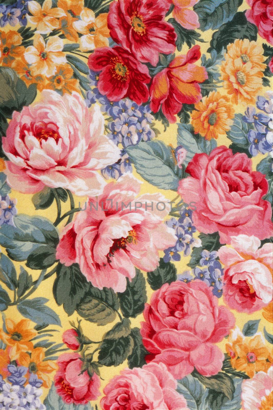 Shot of an antique floral fabric