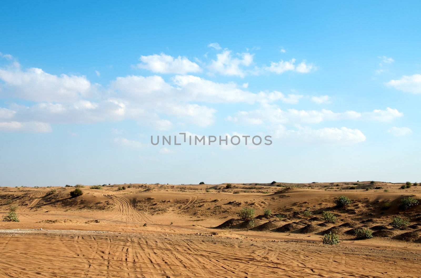 Dubai Arabic Desert, Dubai, United Arab Emirates