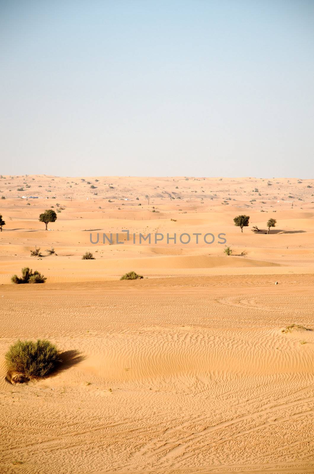 Dubai Arabic Desert, Dubai, United Arab Emirates