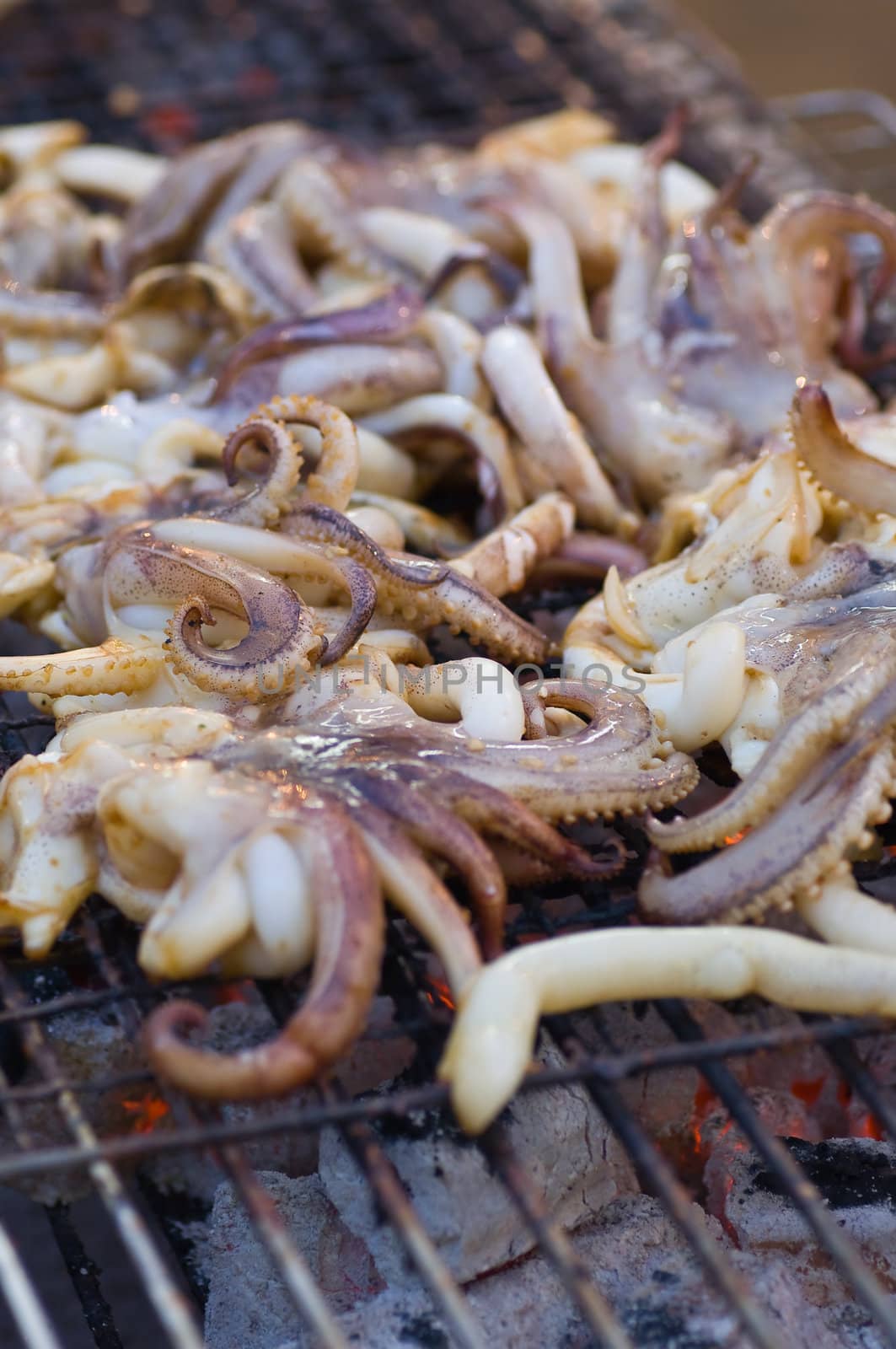 roast squid is kind of seafood