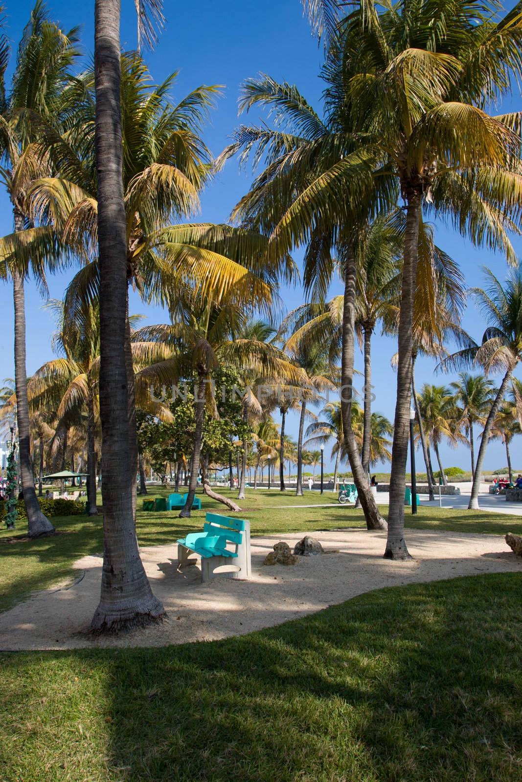 The walkway in front of the beaches of Miami Beach