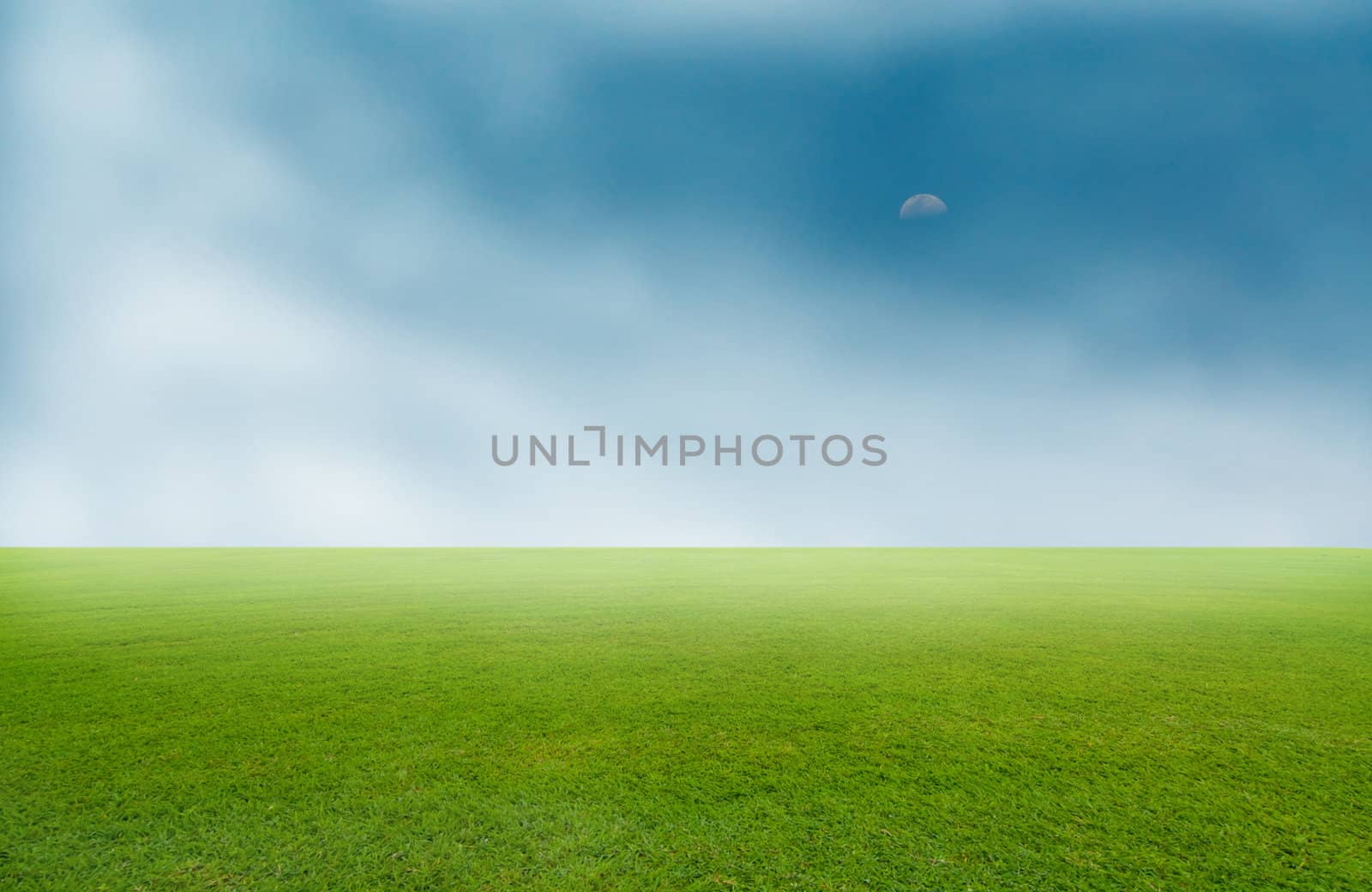 fog sea in the green field