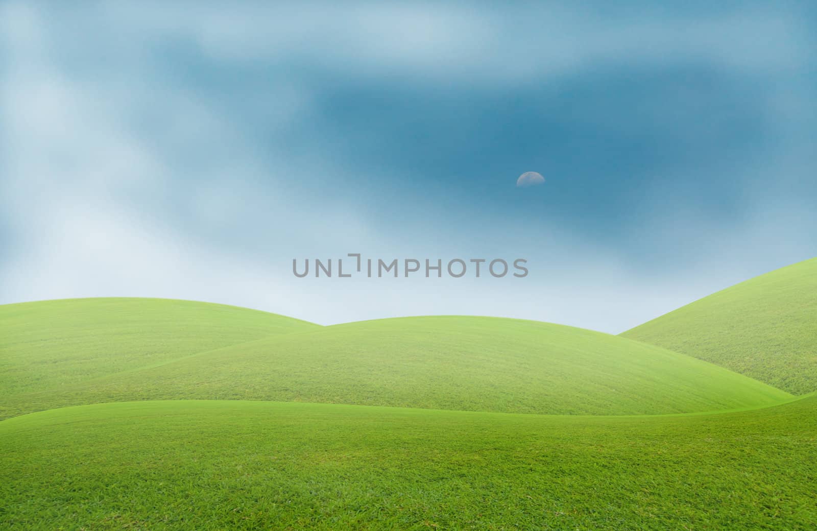fog sea in the green field