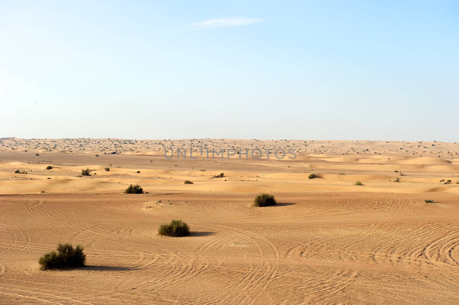 Dubai Arabic Desert, Dubai, United Arab Emirates