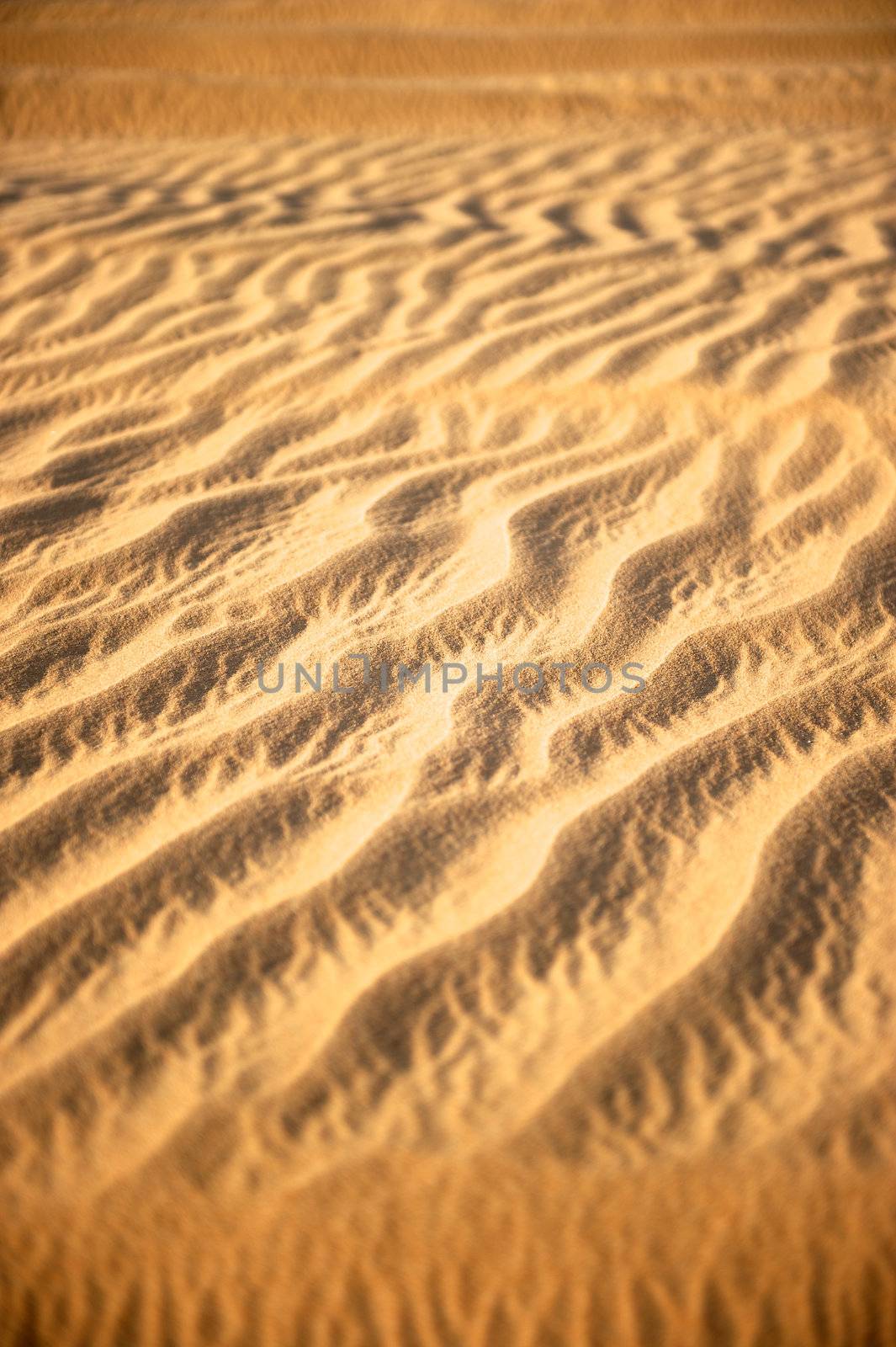 Dubai Desert, United Arab Emirates by swimnews