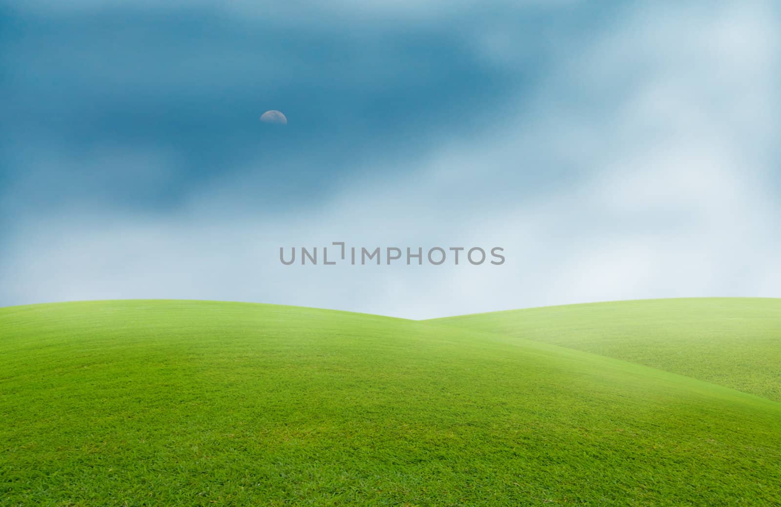 fog sea in the green field