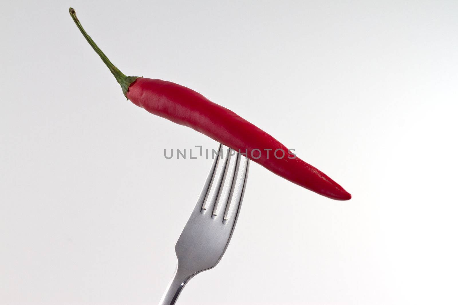 Red hot chili pepper on a fork isolated on white background