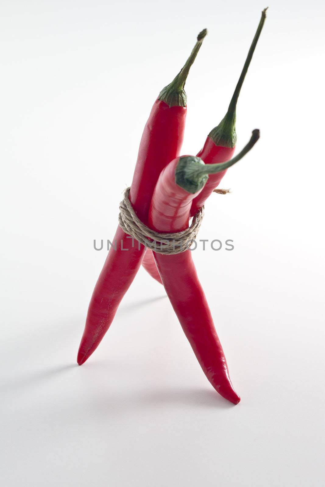 bunch of red hot chilli pepper, tied by rope isolated on white background