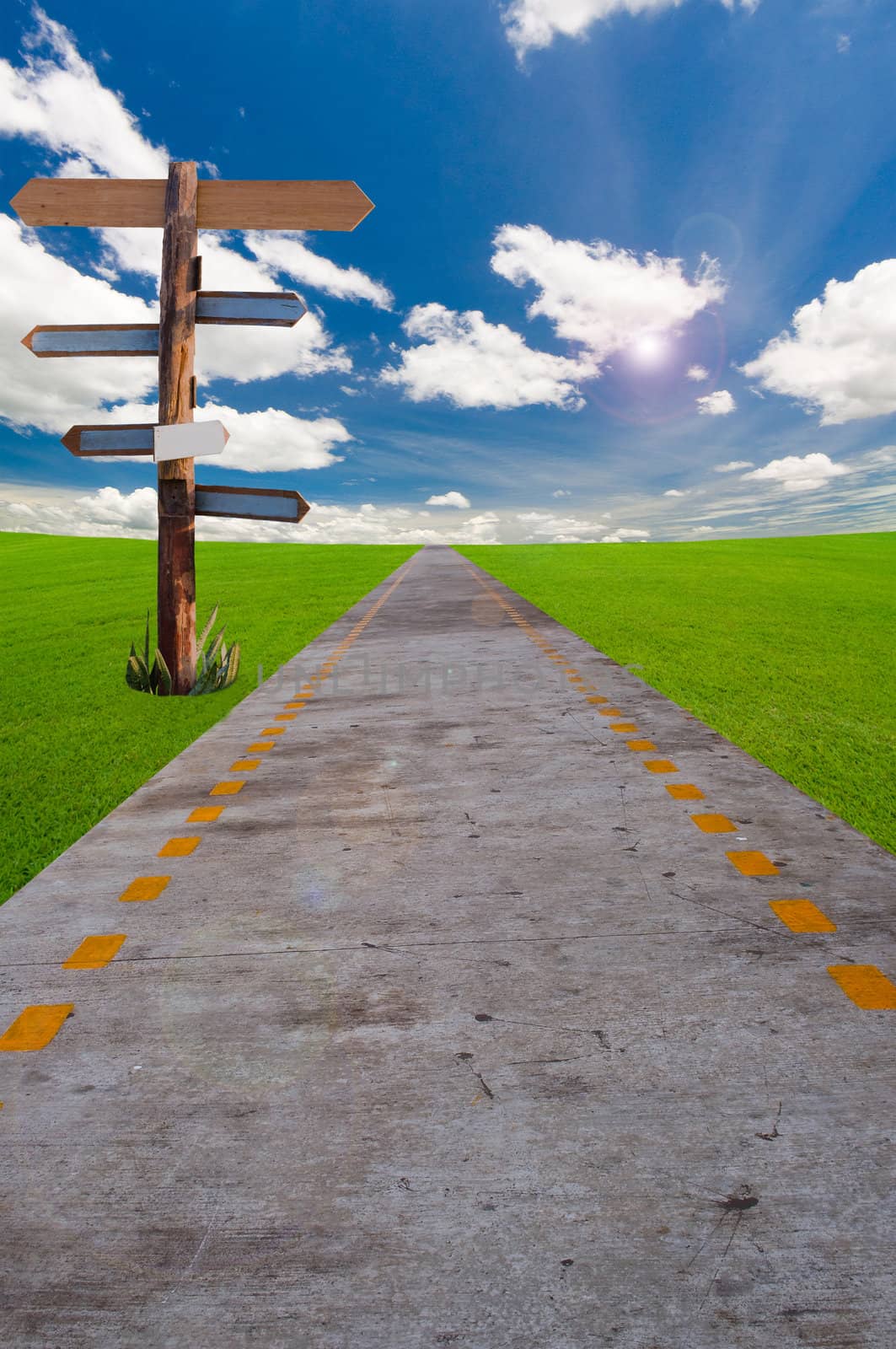 direction sign ane the way under the blue sky