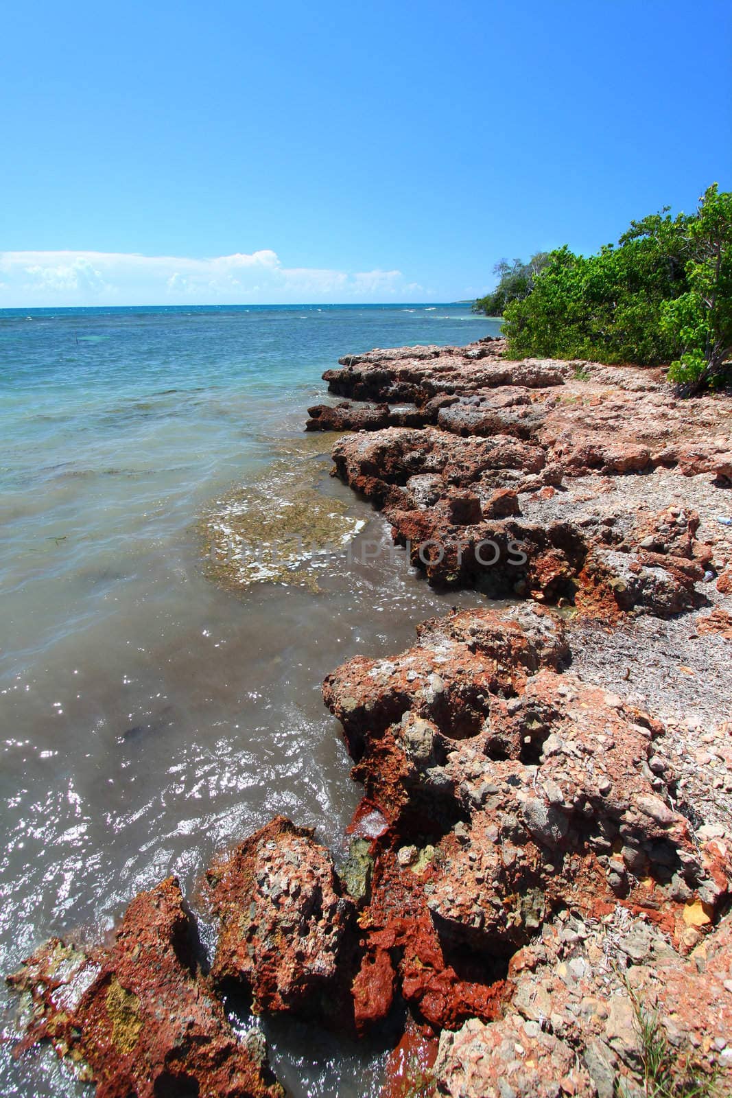 A rocky coastline at Guanica Dry Forest Reserve - Puerto Rico.