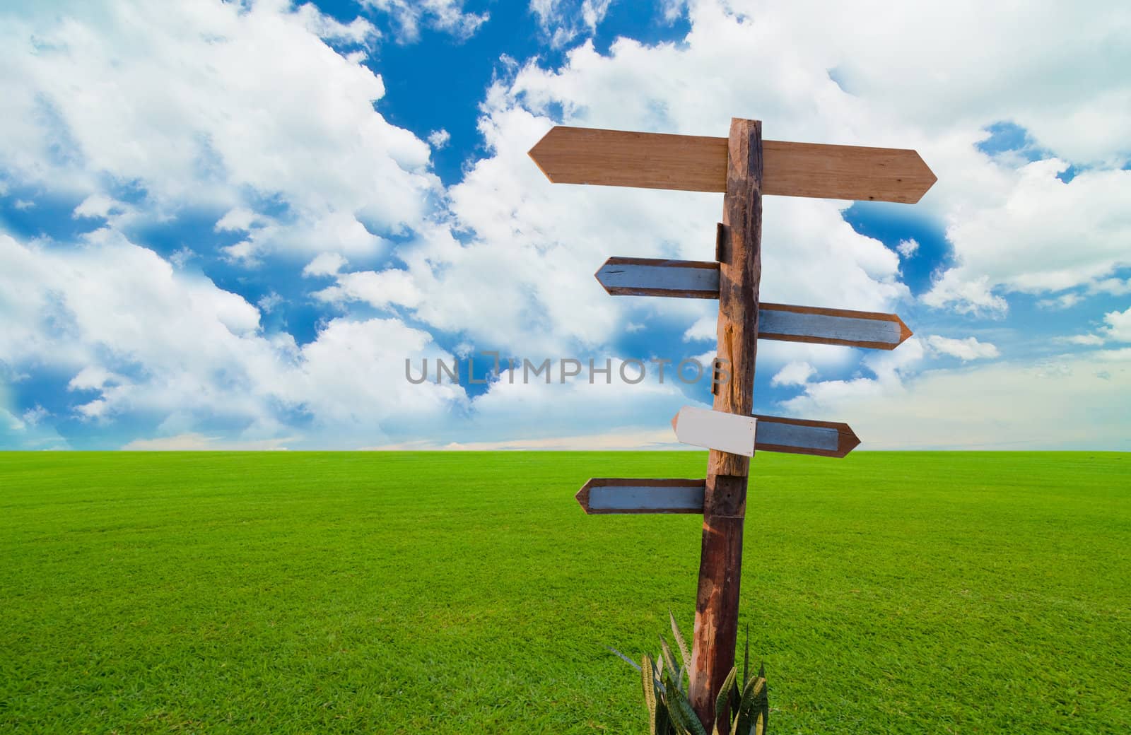 direction sign under the blue sky