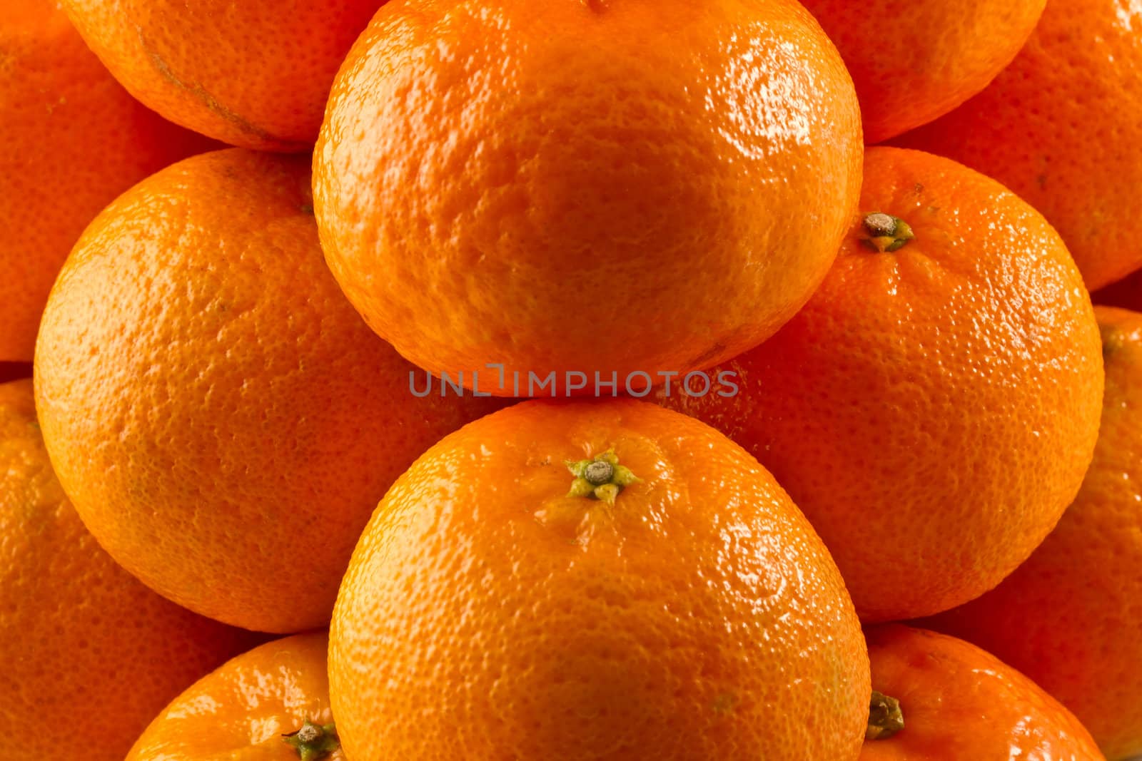 Clementines arranged in a pile, isolated on white background